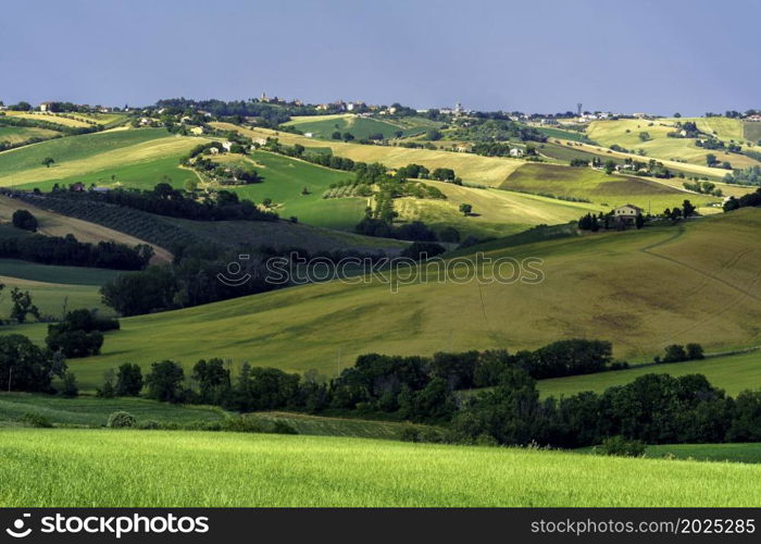 Country landscape along the road from Ostra Vetere to Cingoli, Ancona province, Marche, Italy, at springtime