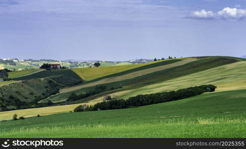 Country landscape along the road from Ostra Vetere to Cingoli, Ancona province, Marche, Italy, at springtime