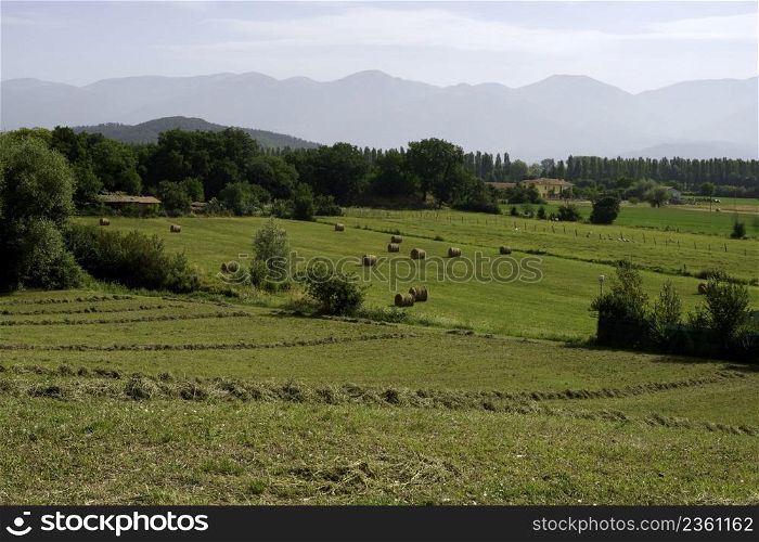 Country landscape along the road from Rieri to Contigliano, Lazio, Italy, in a summer morning