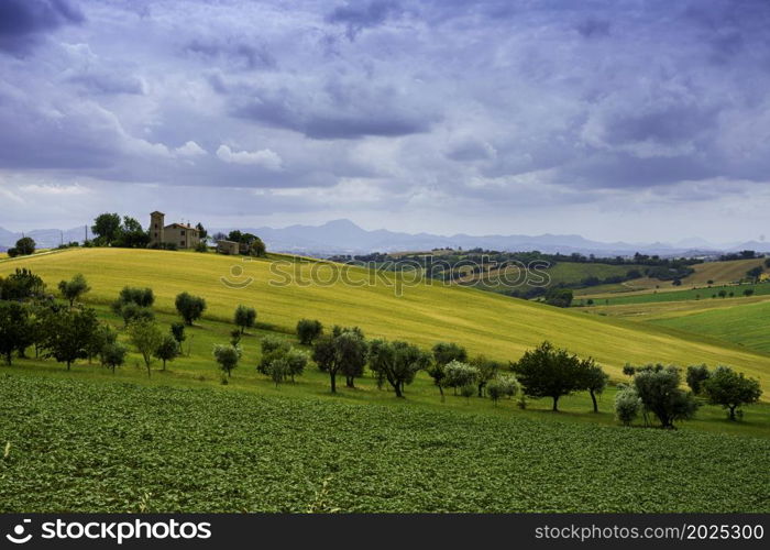 Country landscape along the road from Santa Maria Nuova to Osimo, Ancona province, Marche, Italy, at springtime.