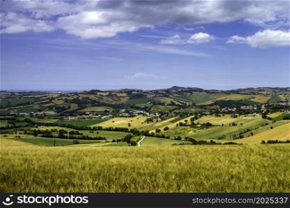 Country landscape along the road from Santa Maria Nuova to Osimo, Ancona province, Marche, Italy, at springtime.