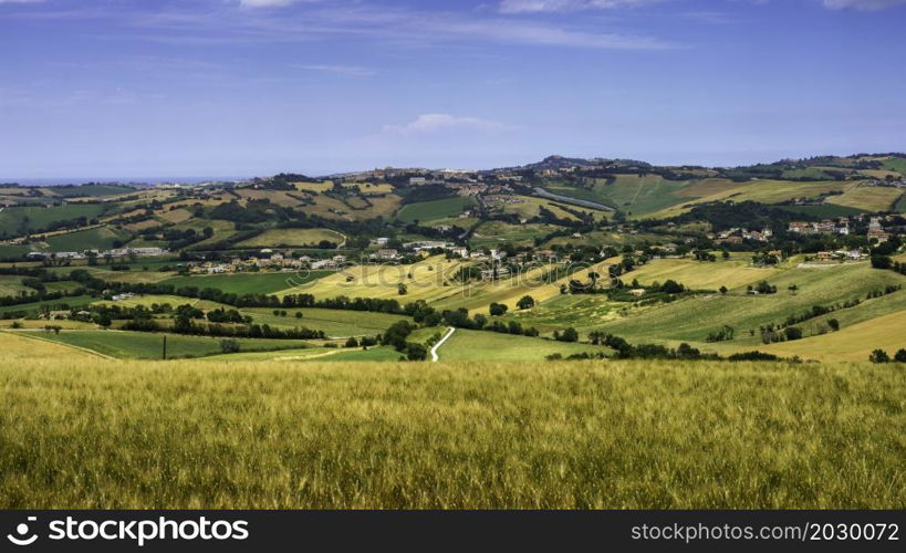 Country landscape along the road from Santa Maria Nuova to Osimo, Ancona province, Marche, Italy, at springtime.