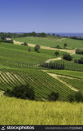 Country landscape at springtime along the road from Fano to Mondavio, Pesaro e Urbino province, Marche, Italy