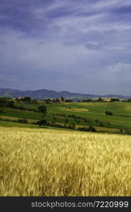 Country landscape at springtime along the road from Fano to Mondavio, Pesaro e Urbino province, Marche, Italy