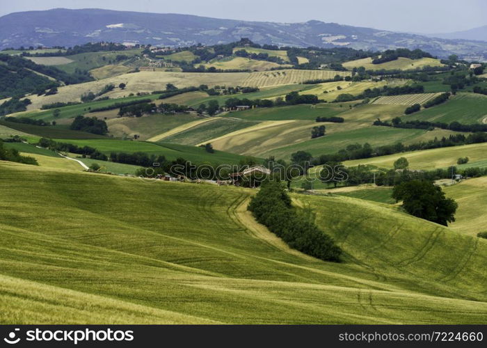 Country landscape at springtime along the road from Fano to Mondavio, Pesaro e Urbino province, Marche, Italy