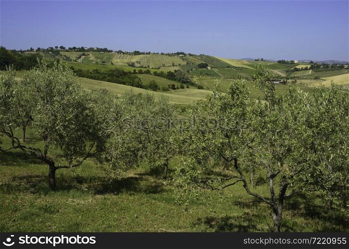 Country landscape at springtime near Rimini and Verucchio, Emilia-Romagna, Italy