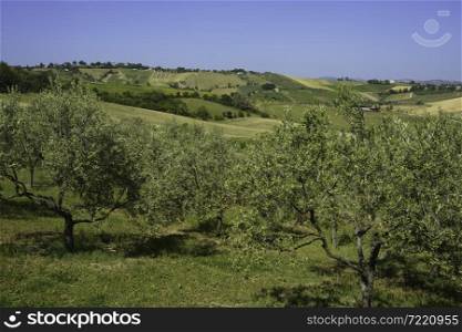 Country landscape at springtime near Rimini and Verucchio, Emilia-Romagna, Italy