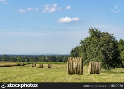Country landscape at summer near Boves, Cuneo, Piedmont, Italy. Field with bales