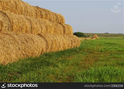 Country landscape, closeup of stack of hay bales on the meadow, sunny summer day