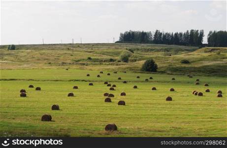 Country landscape, green meadow with hay bales, summer day
