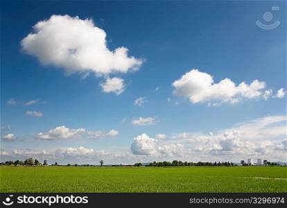Country landscape: green meadows, cloudy blue sky, nuclear power plant on background