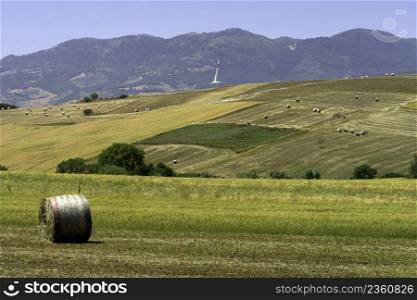 Country landscape in C&ania near Monteverde and Lacedonia, Avellino province, Italy, at summer