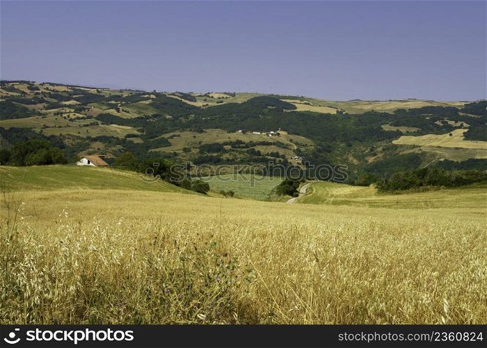 Country landscape in Campania near Monteverde, Avellino province, Italy, at summer