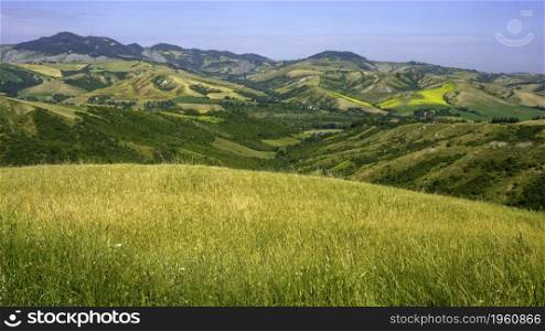 Country landscape on the hills in the Bologna province, Emilia-Romagna, Italy, near Imola and Riolo Terme, at springtime