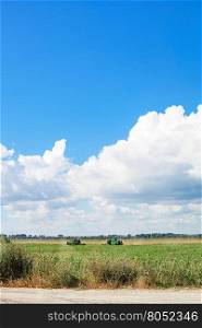 country landscape with agrarian field and blue sky in summer season Kuban, Russia