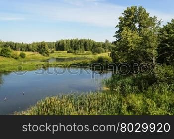Country landscape with small forest lake in summer time