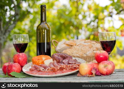 Country life setting with wine, fruits, cheese and meat. Outdoor