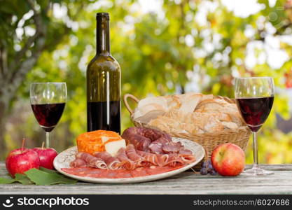 Country life setting with wine, fruits, cheese and meat. Outdoor