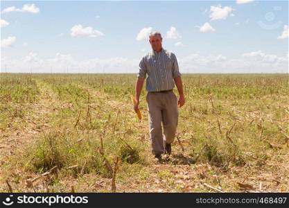 country man in the stubble of the corn crop