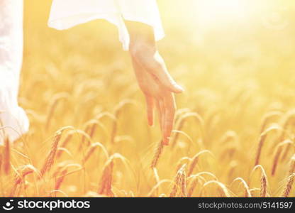 country, nature, summer holidays, agriculture and people concept - close up of young woman hand touching spikelets in cereal field. close up of woman hand in cereal field