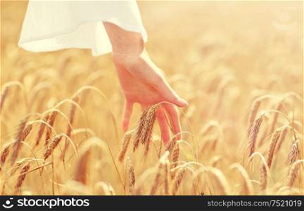 country, nature, summer holidays, agriculture and people concept - close up of young woman hand touching spikelets in cereal field. close up of woman hand in cereal field