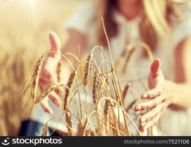 country, nature, summer holidays, agriculture and people concept - close up of young woman hands touching spikelets in cereal field. close up of woman hands in cereal field