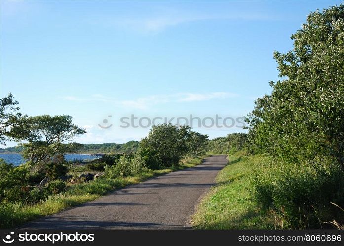 Country road along the coast at the swedish island Oland in the Baltic Sea