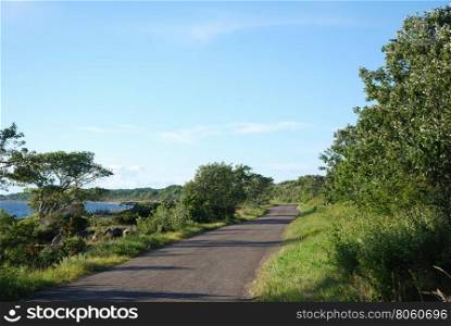 Country road along the coast at the swedish island Oland in the Baltic Sea