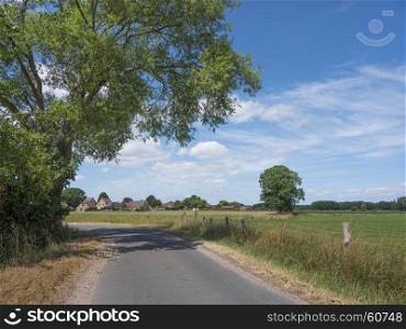 country road and cornfield near wuustwezel north of antwerp in belgium