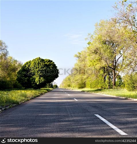 Country road at summer morning