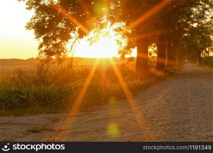 country road at sunset, an alley along a dirt road in the sun. an alley along a dirt road in the sun, country road at sunset