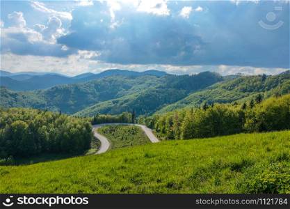 country road at the european alps. country road at the european alps, nature