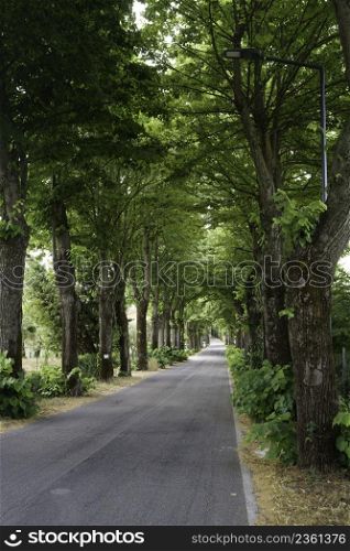 Country road from Tarano to Collevecchio, in Rieti province, Lazio, Italy, at summer