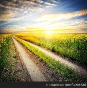 Country road in a field with yellow flowers under a setting sun. Country road in a field with yellow flowers