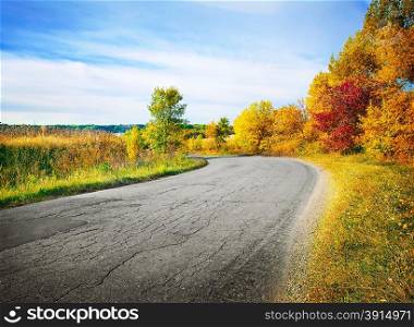 Country road in autumn forest with colorful trees