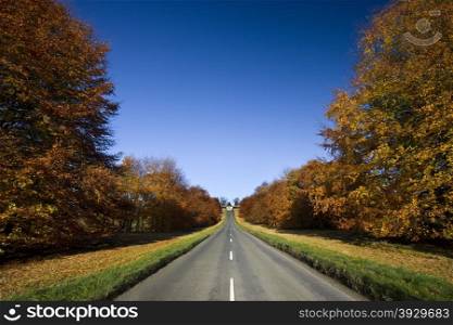 Country road in Autumn. North Yorkshire in North East England. Autumn is the third season of the year, when crops and fruits are gathered and leaves fall, in the northern hemisphere from September to November and in the southern hemisphere from March to May.