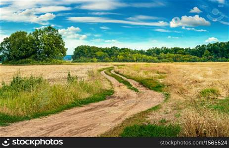 Country road in field at sunny day. Winding country road