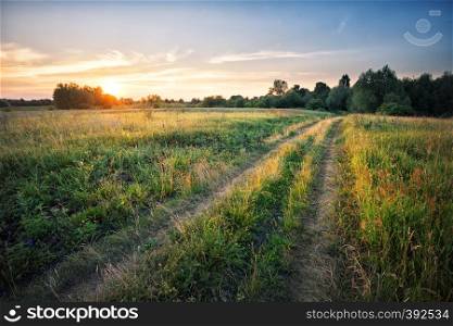 Country road in field with dense grass at sunset. Summer landscape.. Country road in field with dense grass at sunset