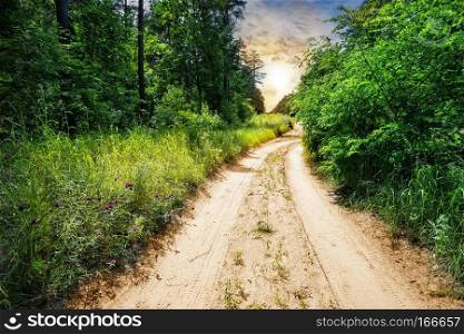 Country road in forest with green grass and trees. The concept of travel, freedom and recreation. Summer, day.. Country road in forest with green grass and trees