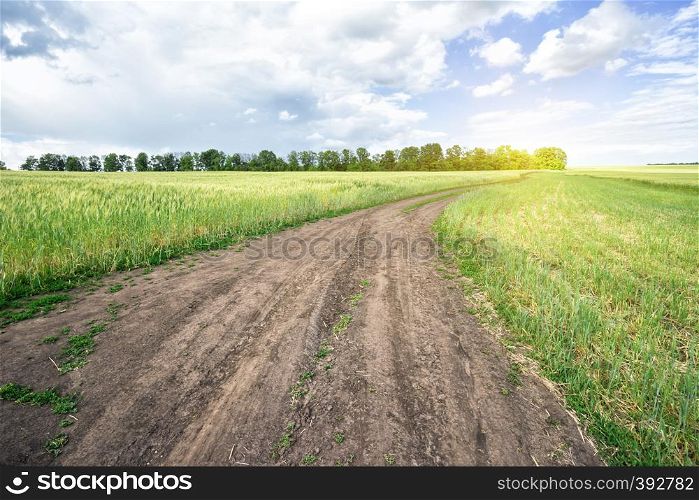 Country road in green field under a blue sky. Summer Landscape. Country road in green field under the blue sky