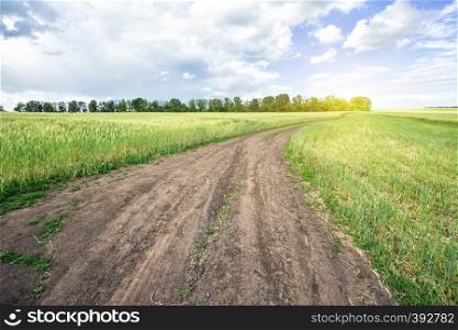 Country road in green field under a blue sky. Summer Landscape. Country road in green field under the blue sky