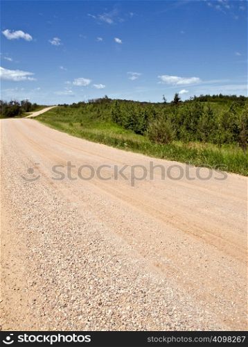 Country road in rural Alberta, Canada, summer of 2008.