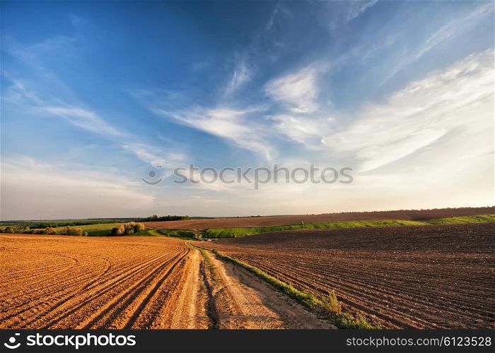 Country road in Spring arable fields. Ukraine