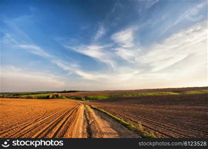 Country road in Spring arable fields. Ukraine