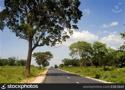 Country road in Sri Lankan national park in the sunshine day