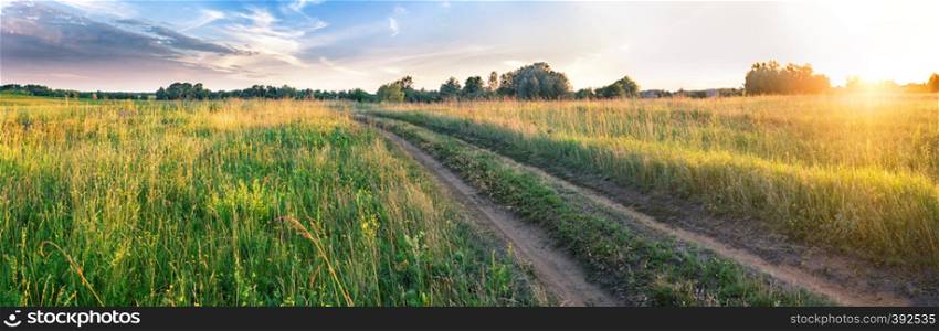 Country road in the field. Summer landscape. Panorama. The concept of travel and freedom.. Country road in the field