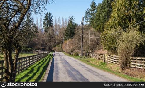 Country Road in the Fraser Valley