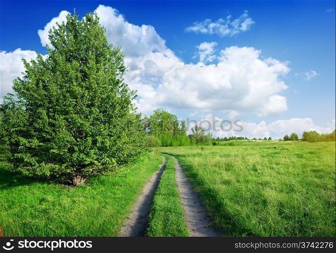 Country road into the beautiful spring field