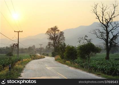 Country road on the north of Thailand at sunset
