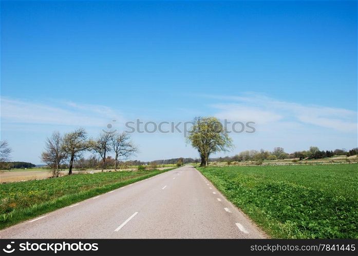 Country road through a rural landscape at spring. From the swedish island Oland
